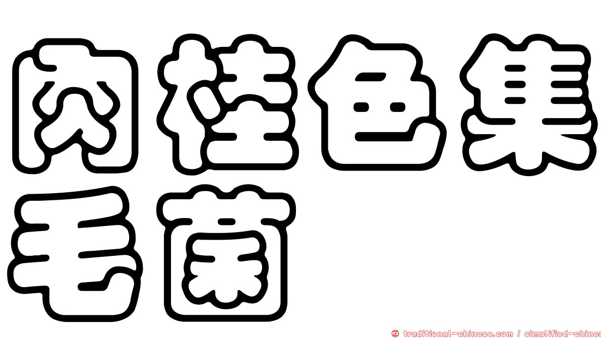肉桂色集毛菌