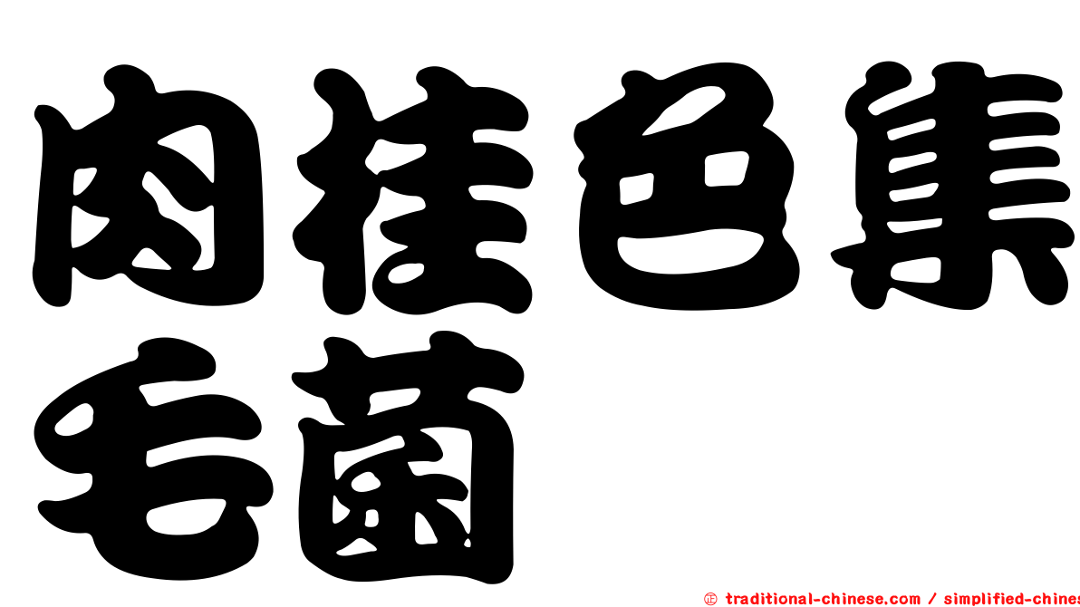 肉桂色集毛菌