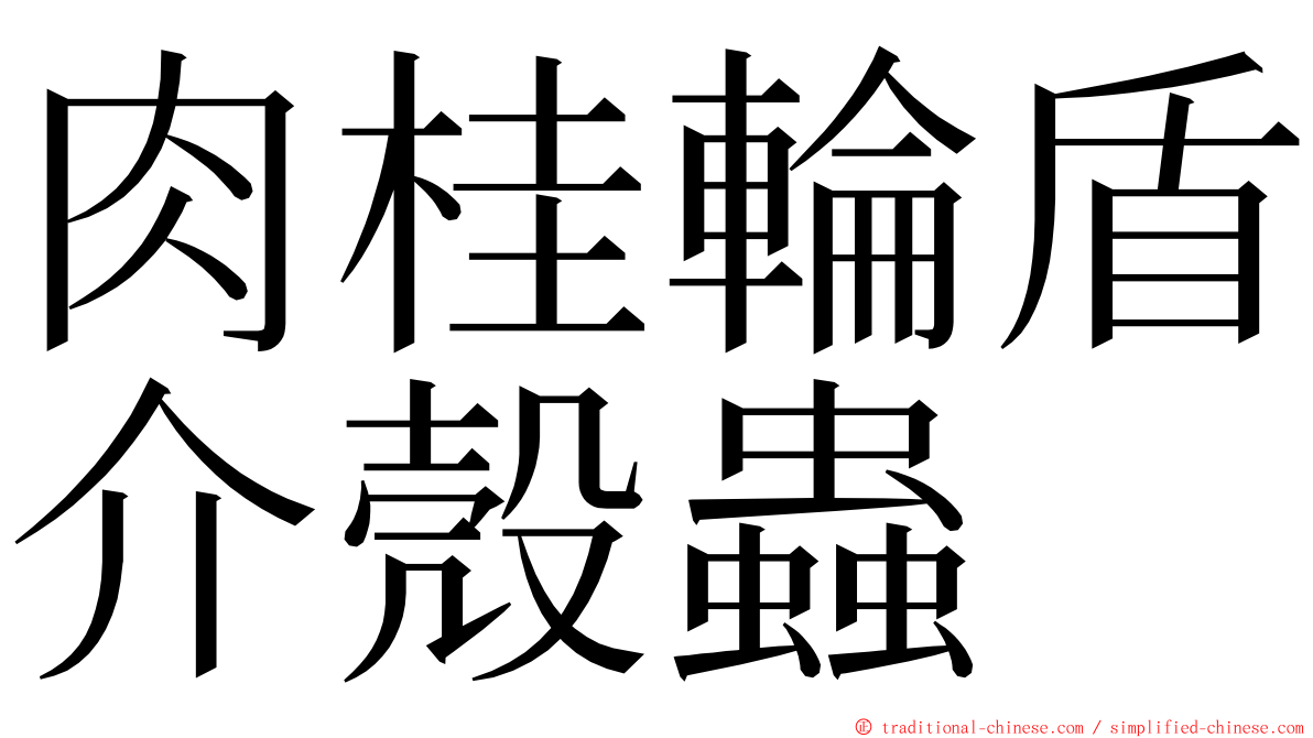 肉桂輪盾介殼蟲 ming font