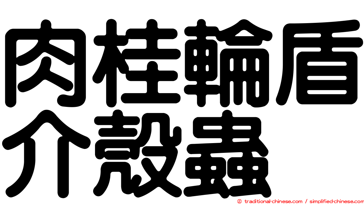 肉桂輪盾介殼蟲