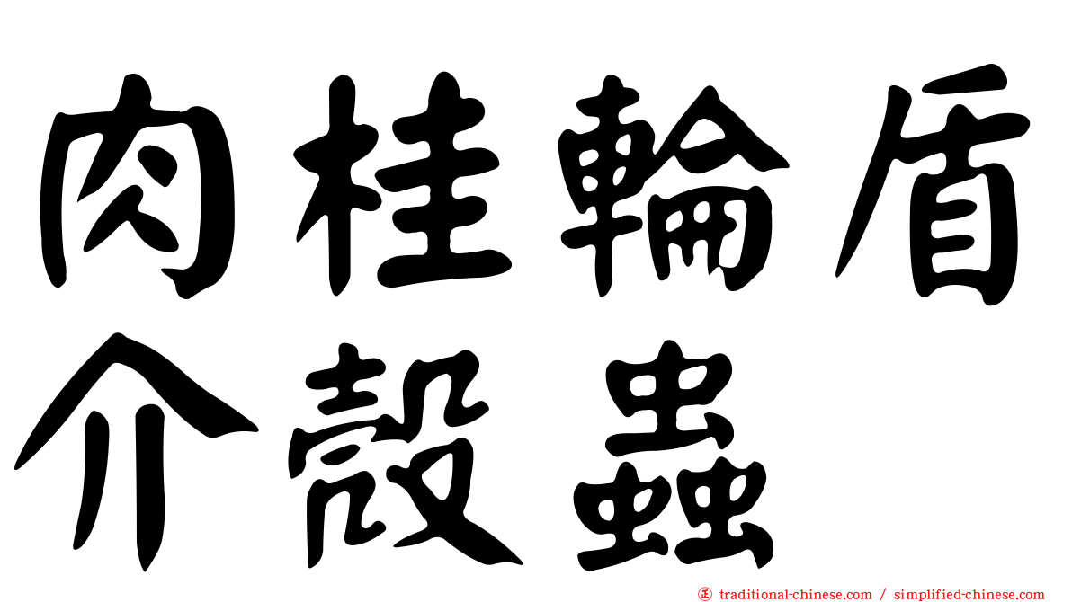 肉桂輪盾介殼蟲