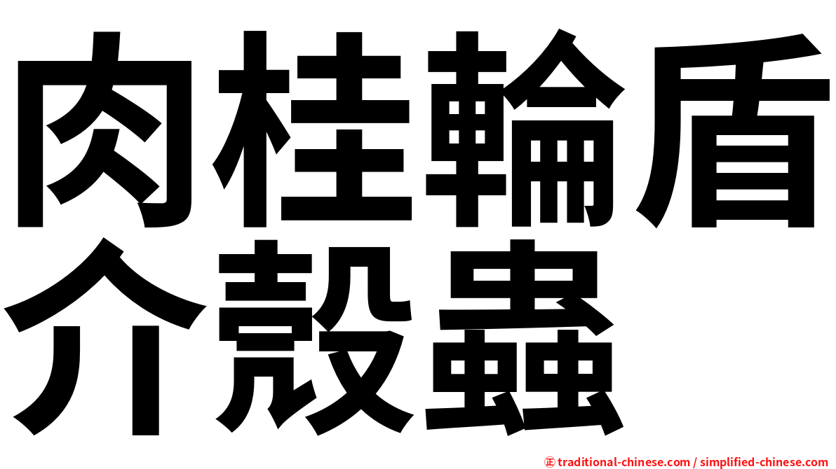 肉桂輪盾介殼蟲