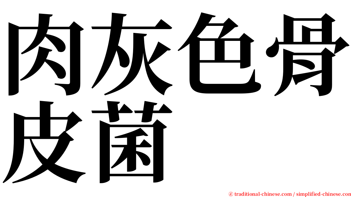 肉灰色骨皮菌 serif font