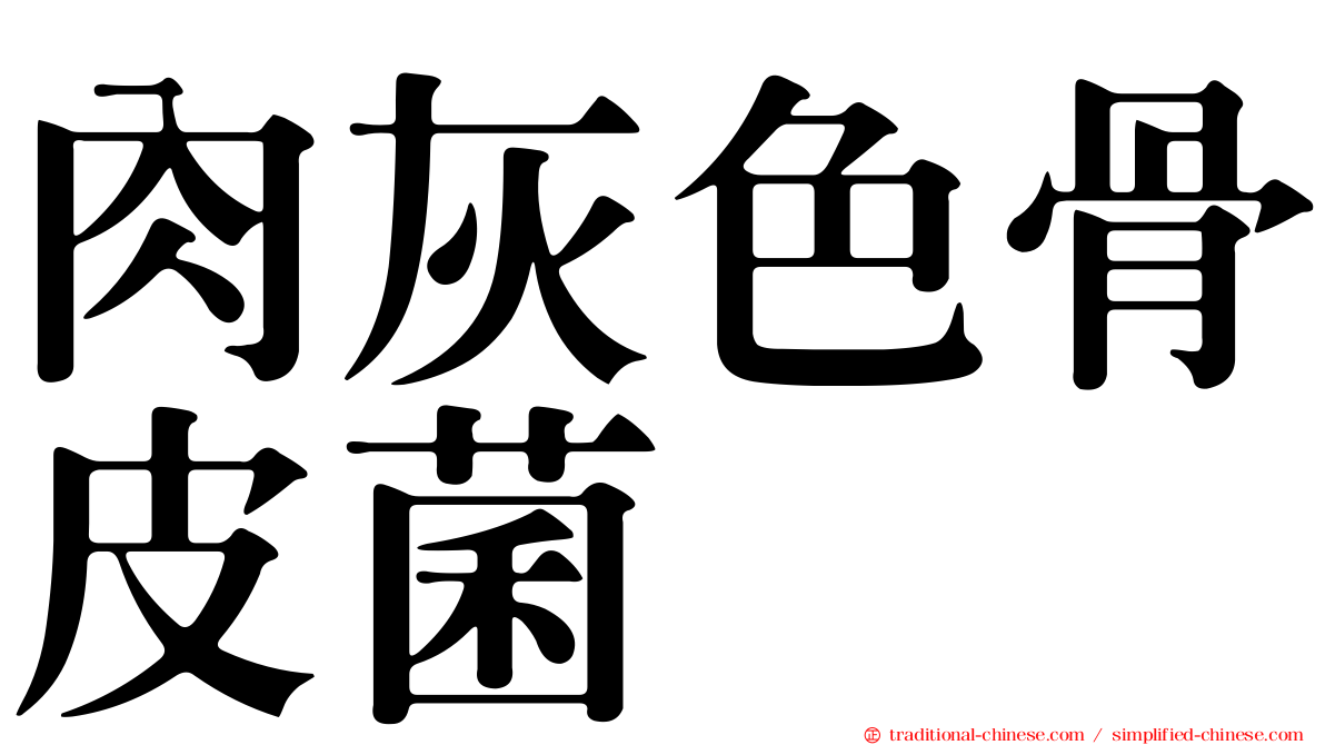 肉灰色骨皮菌