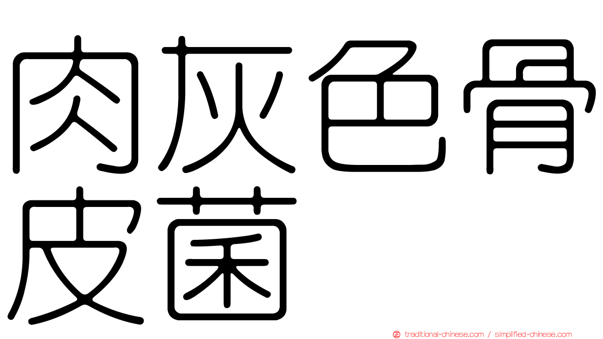 肉灰色骨皮菌