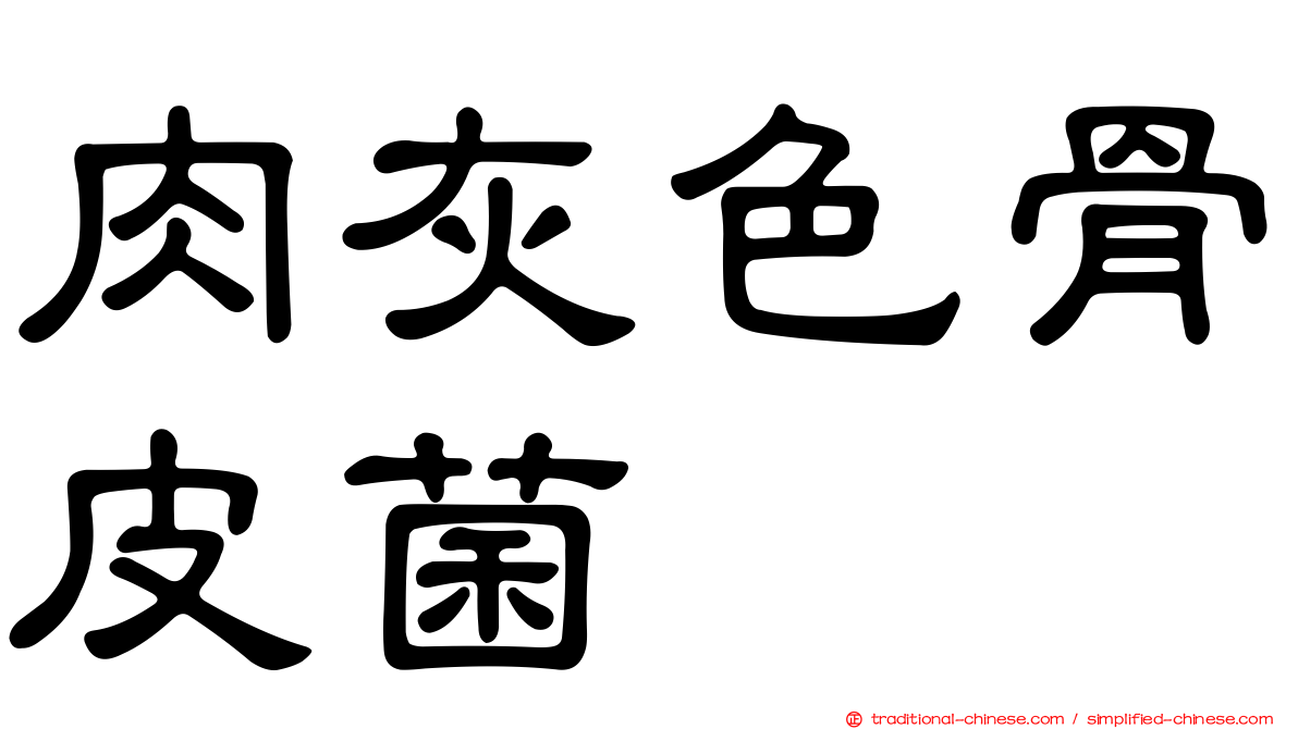 肉灰色骨皮菌