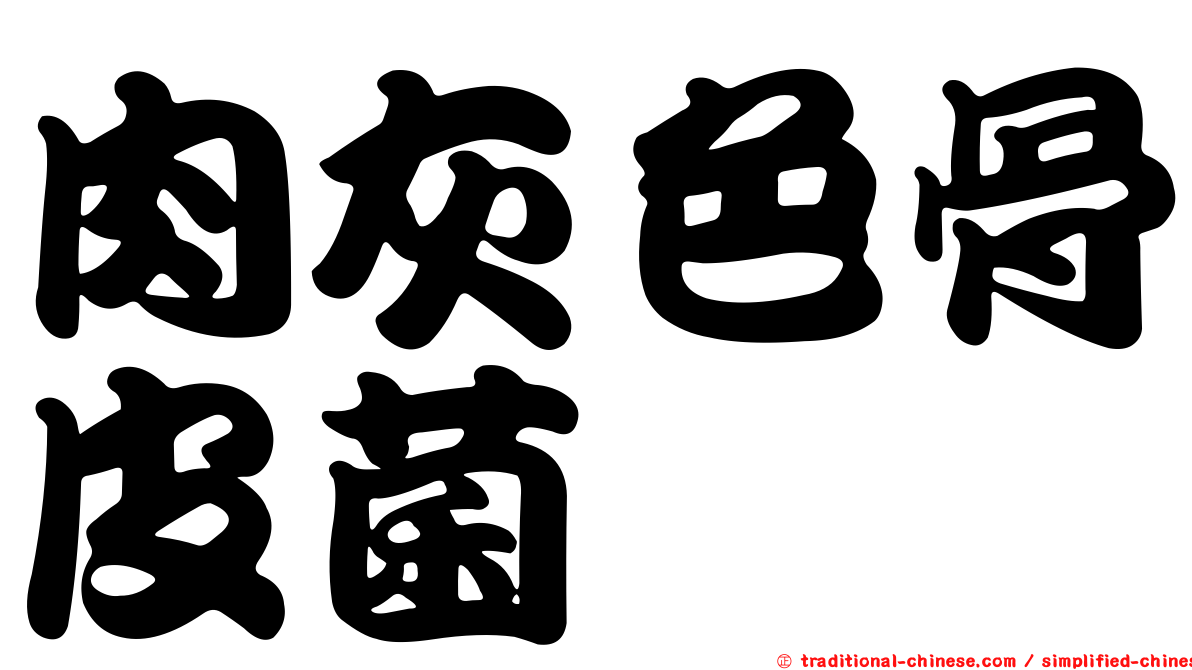 肉灰色骨皮菌