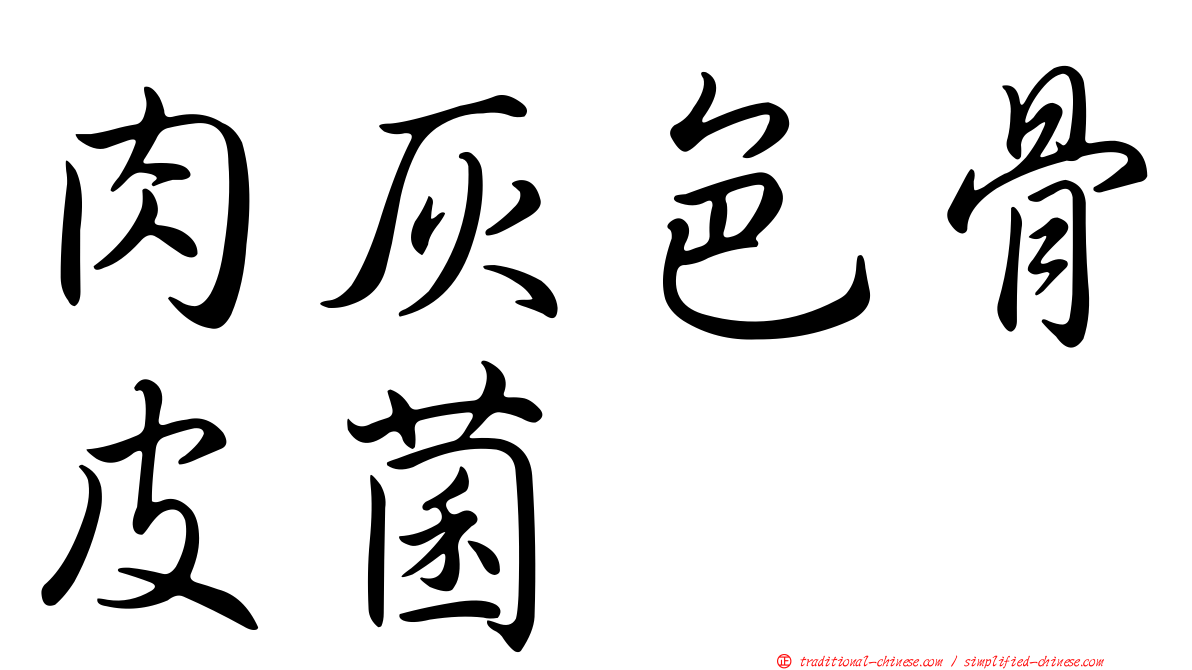 肉灰色骨皮菌
