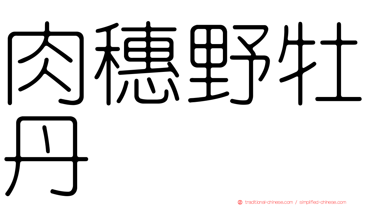 肉穗野牡丹
