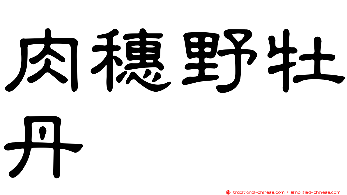 肉穗野牡丹
