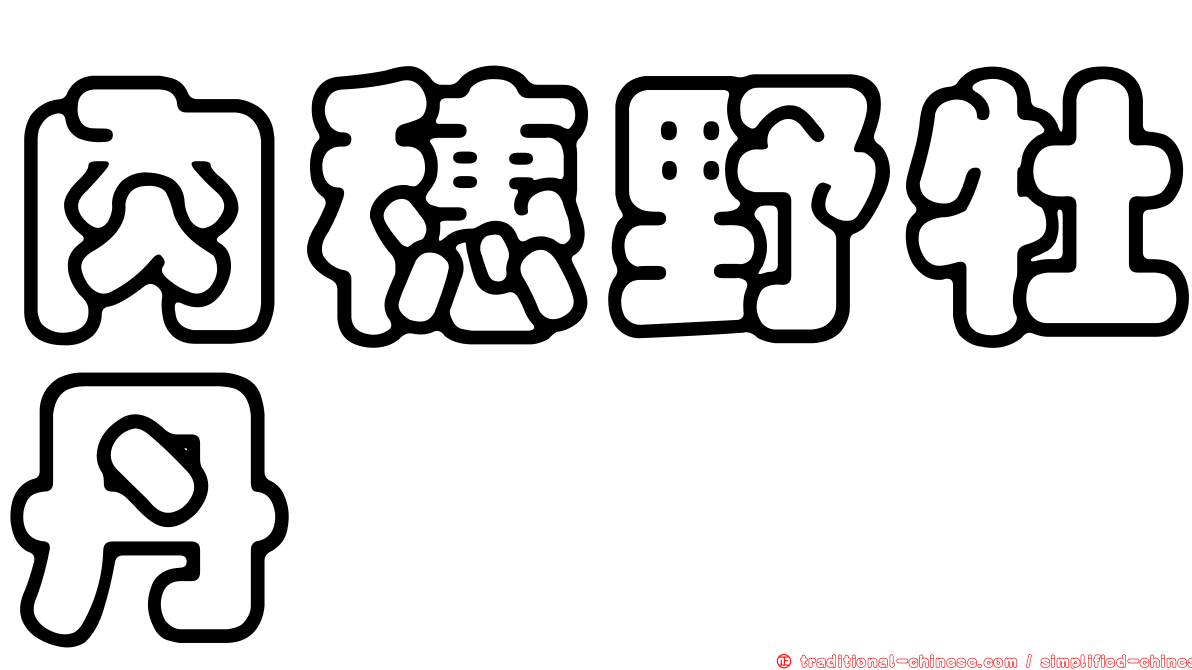 肉穗野牡丹