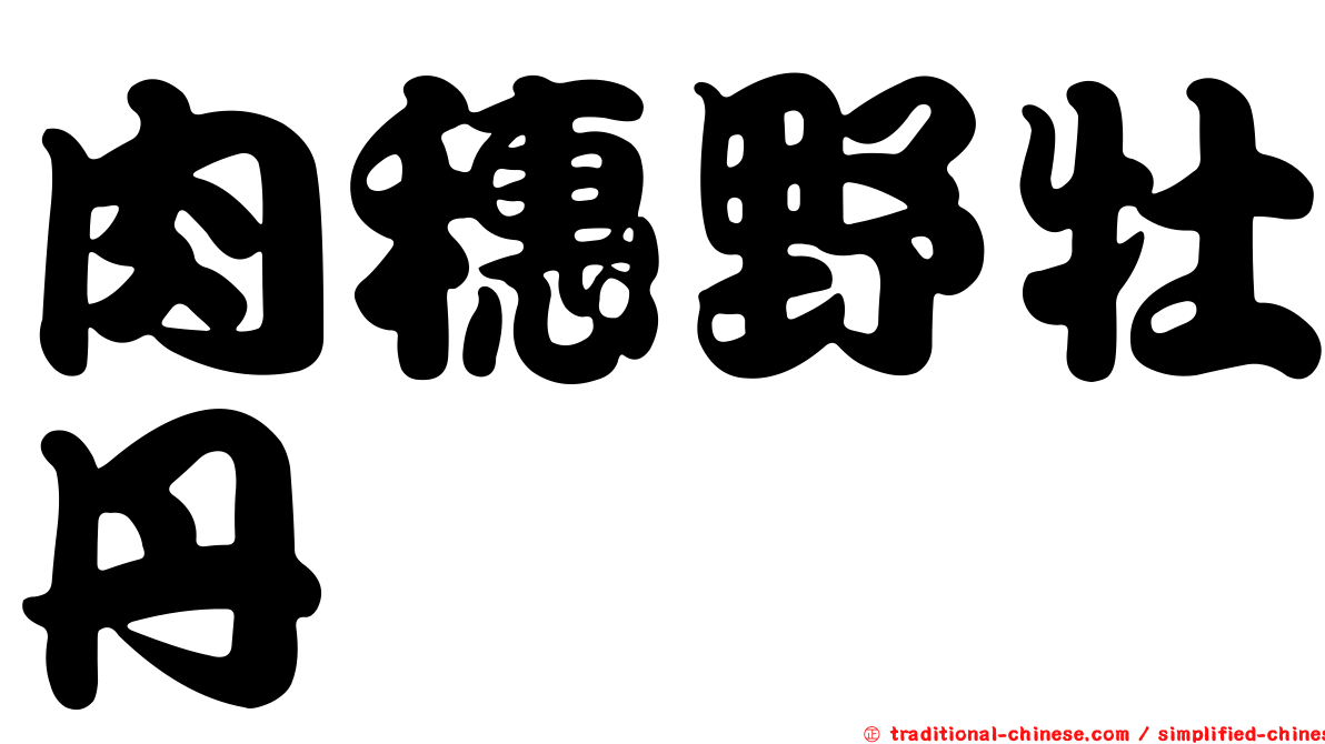 肉穗野牡丹