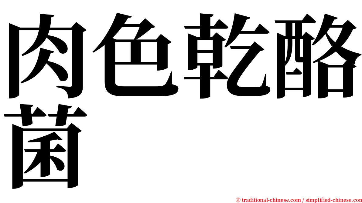 肉色乾酪菌 serif font