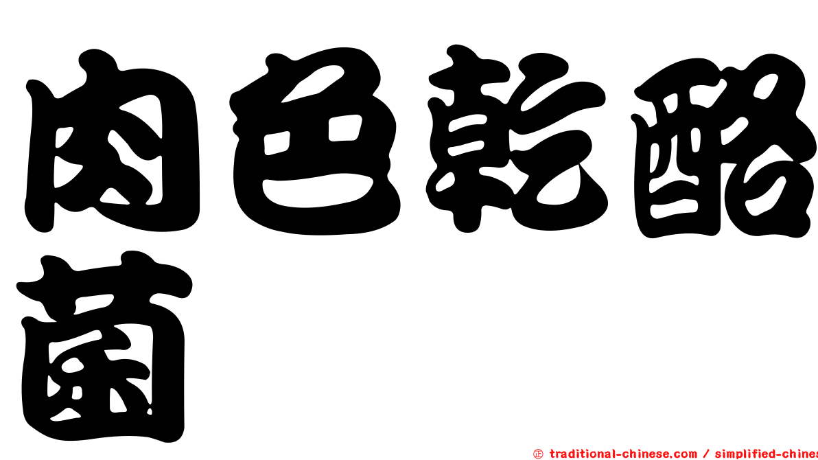 肉色乾酪菌