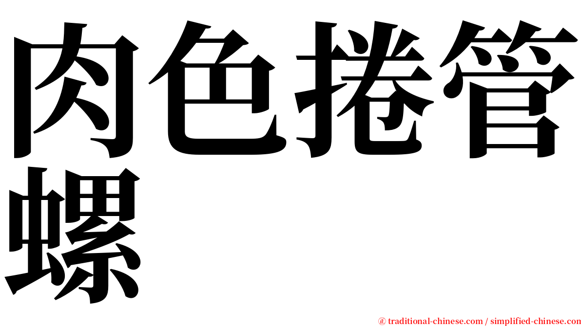 肉色捲管螺 serif font