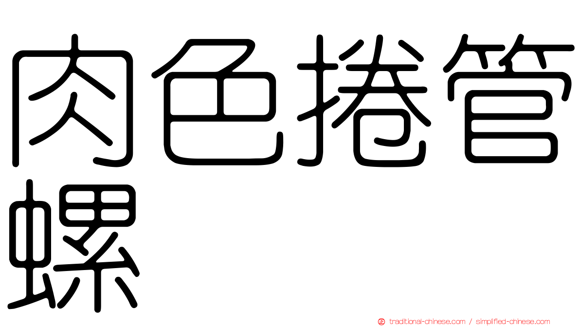 肉色捲管螺