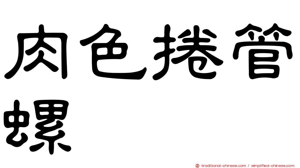 肉色捲管螺