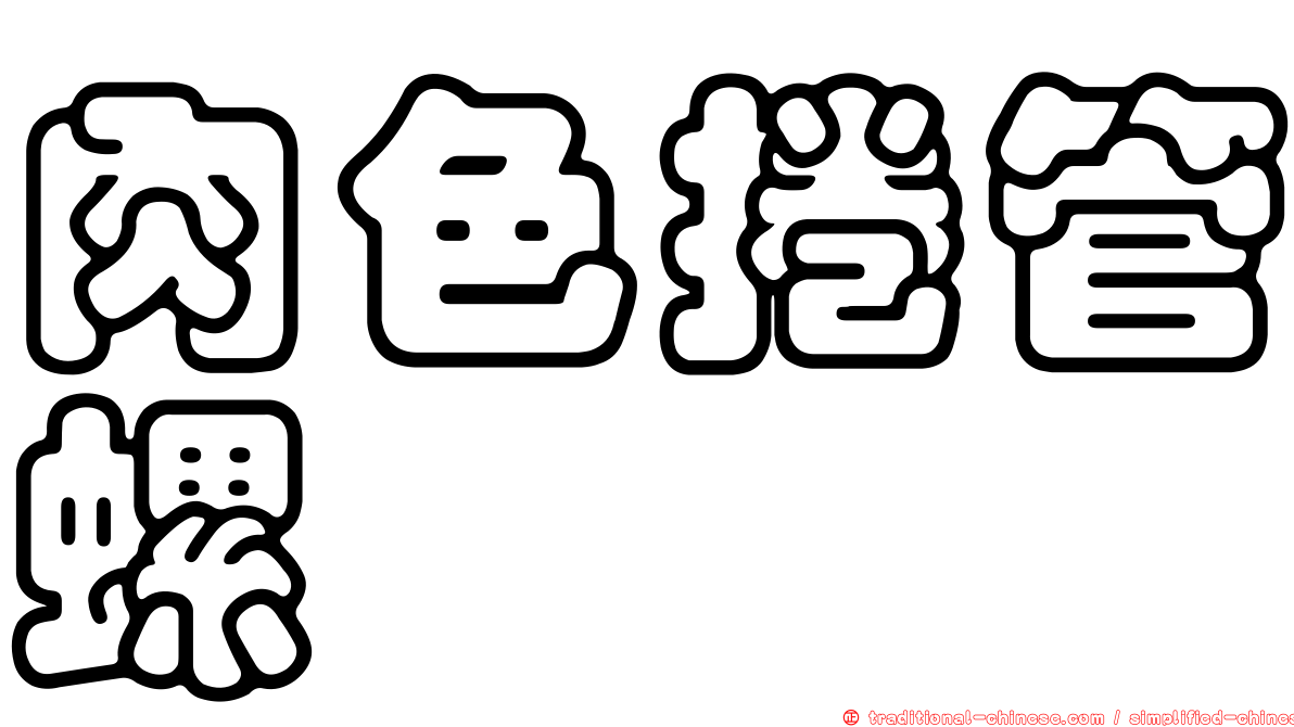 肉色捲管螺
