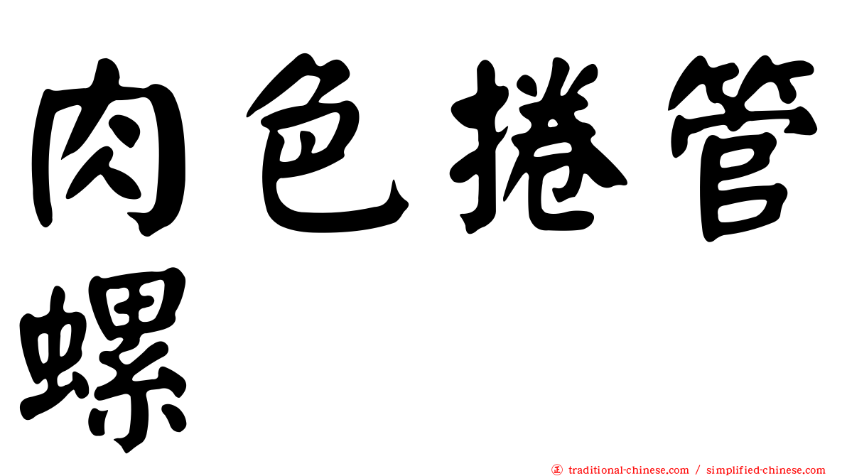 肉色捲管螺