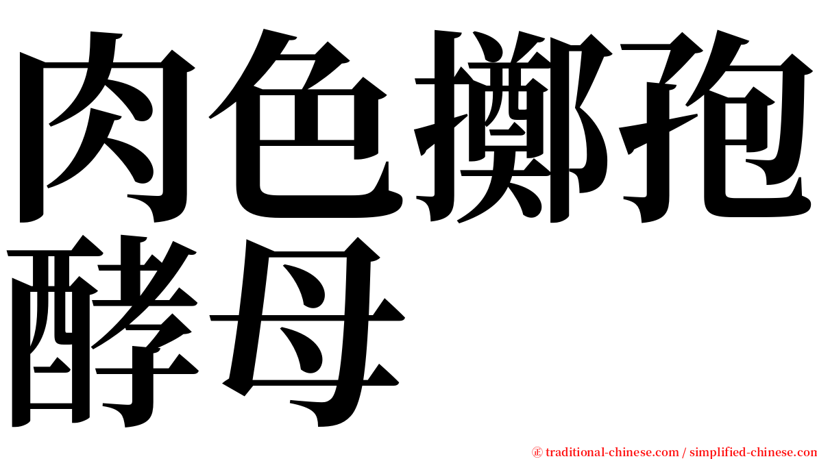肉色擲孢酵母 serif font