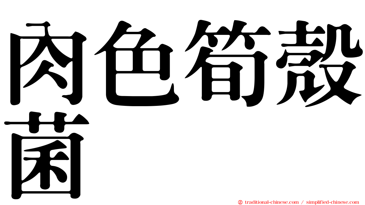 肉色筍殼菌