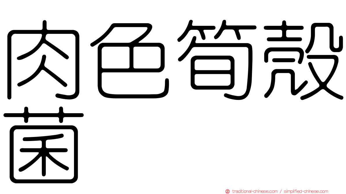 肉色筍殼菌