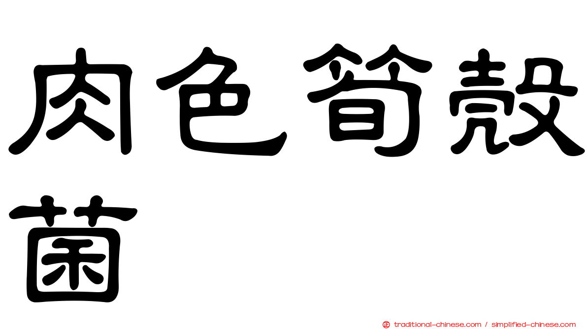 肉色筍殼菌