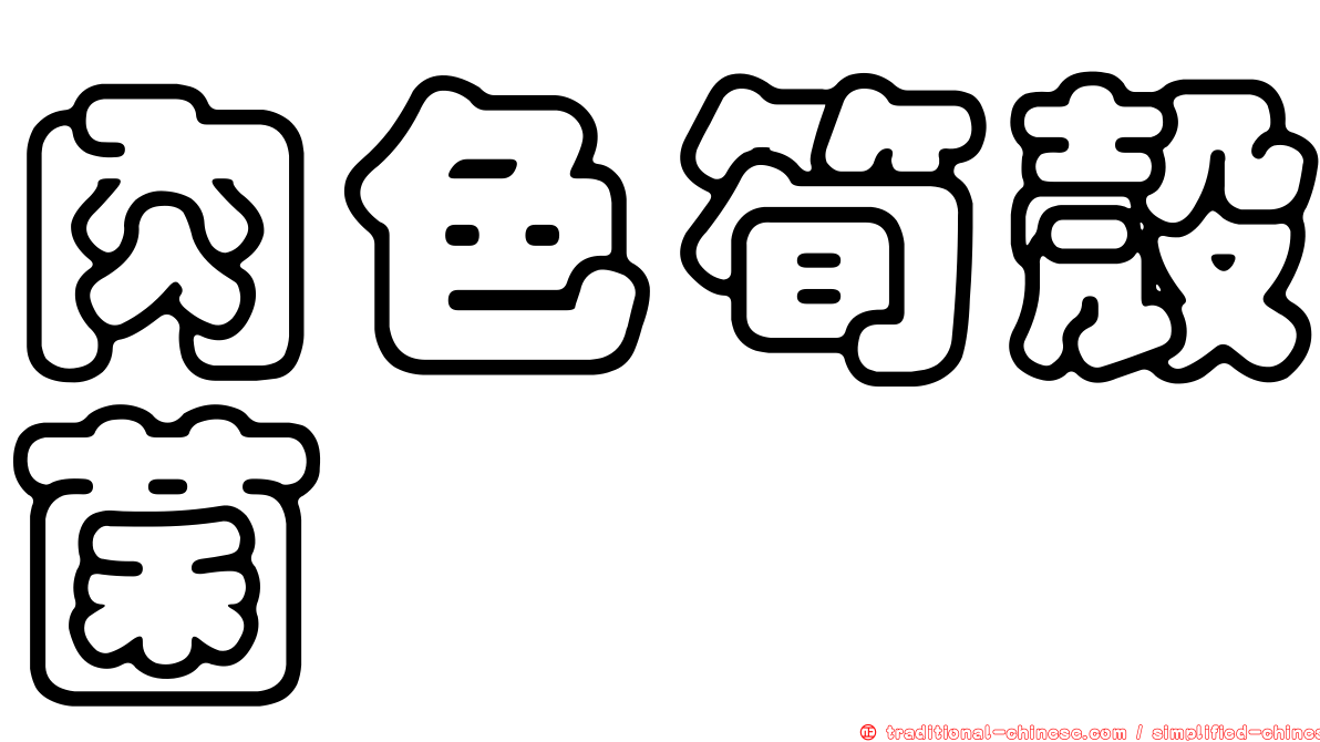 肉色筍殼菌