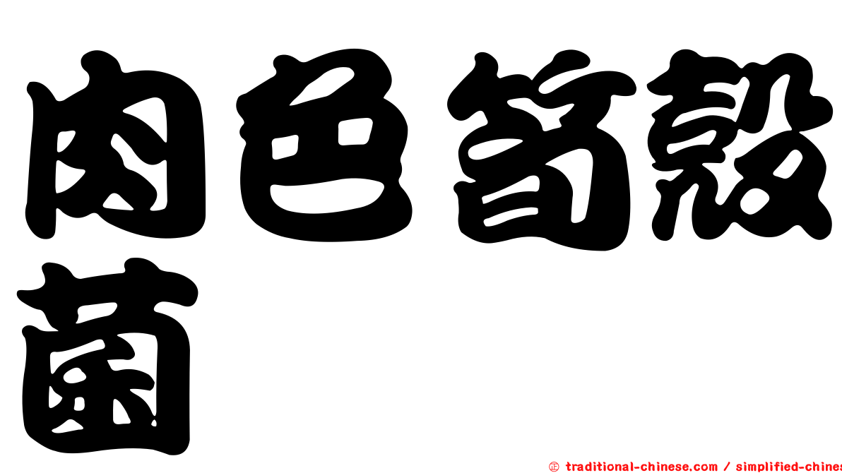 肉色筍殼菌