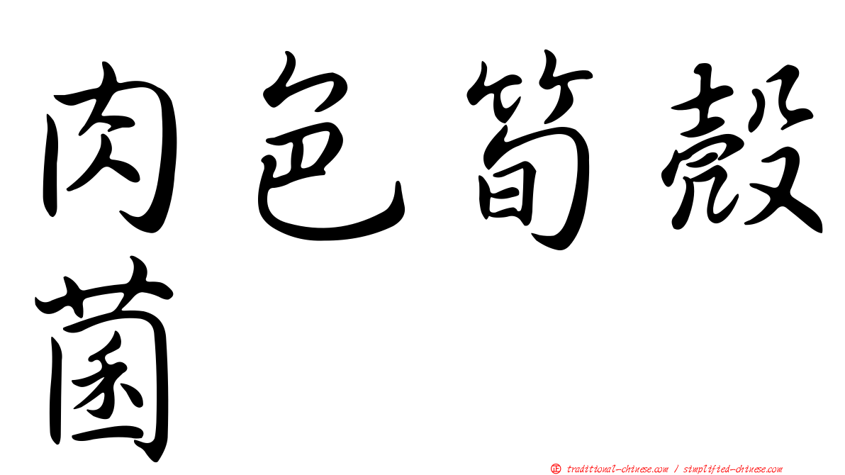 肉色筍殼菌