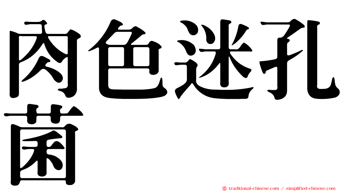 肉色迷孔菌