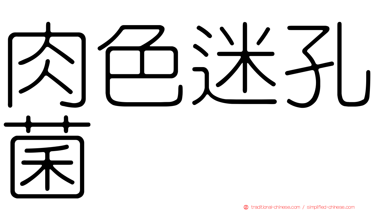 肉色迷孔菌