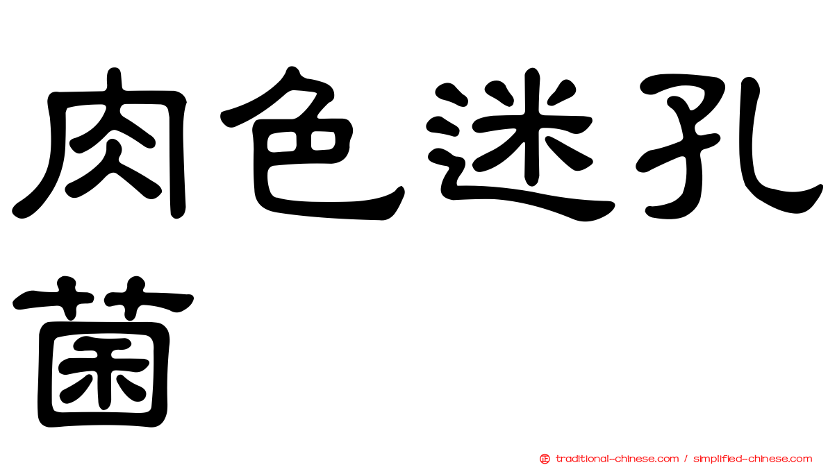 肉色迷孔菌