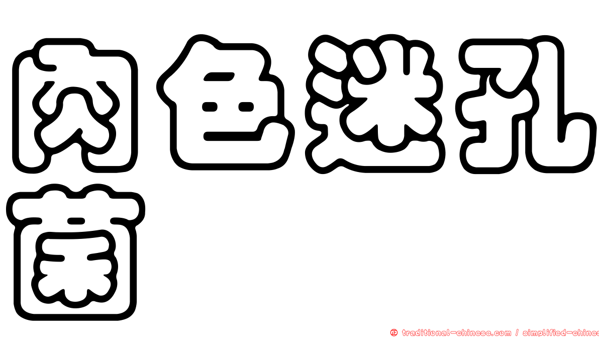 肉色迷孔菌