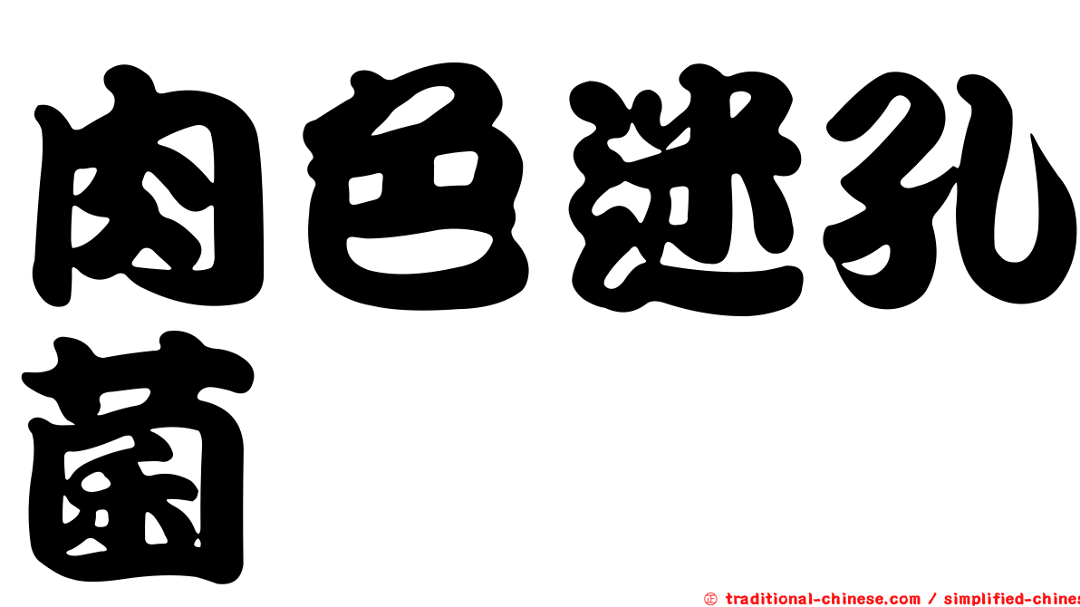 肉色迷孔菌
