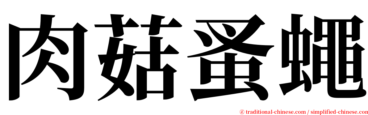 肉菇蚤蠅 serif font
