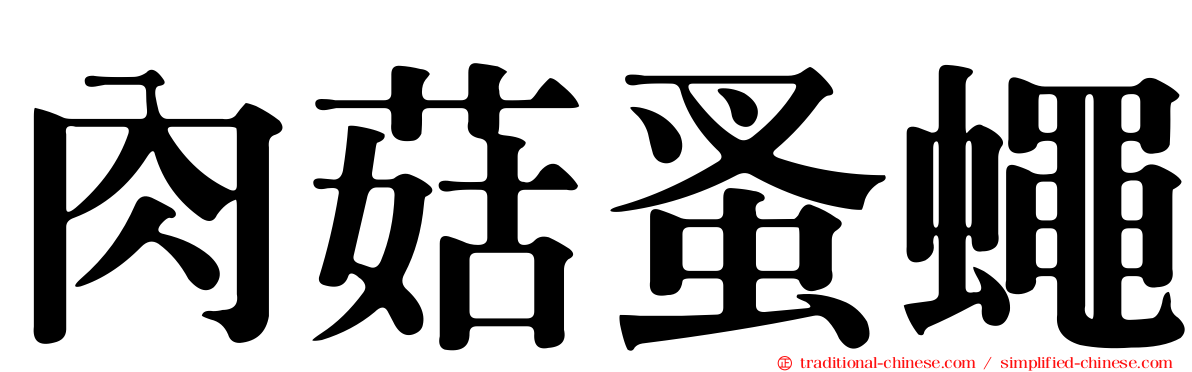 肉菇蚤蠅