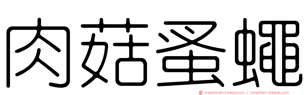 肉菇蚤蠅