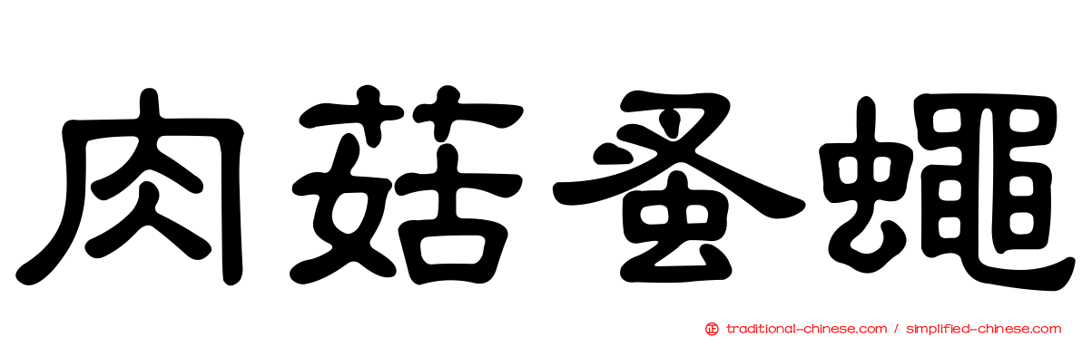 肉菇蚤蠅