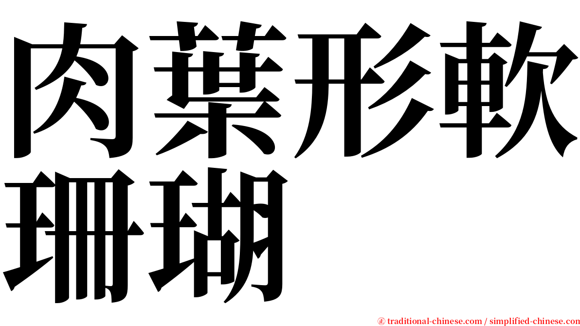 肉葉形軟珊瑚 serif font
