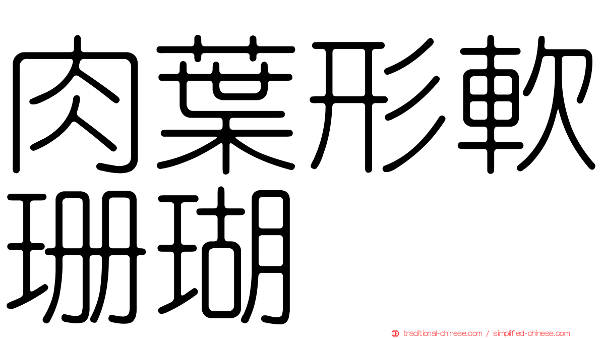 肉葉形軟珊瑚