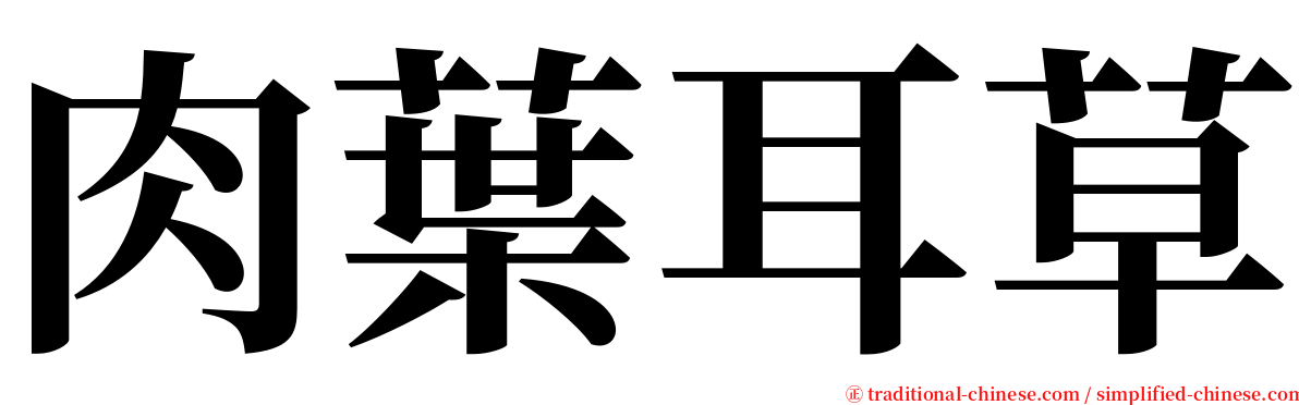 肉葉耳草 serif font