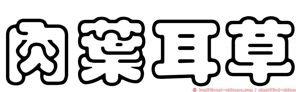 肉葉耳草