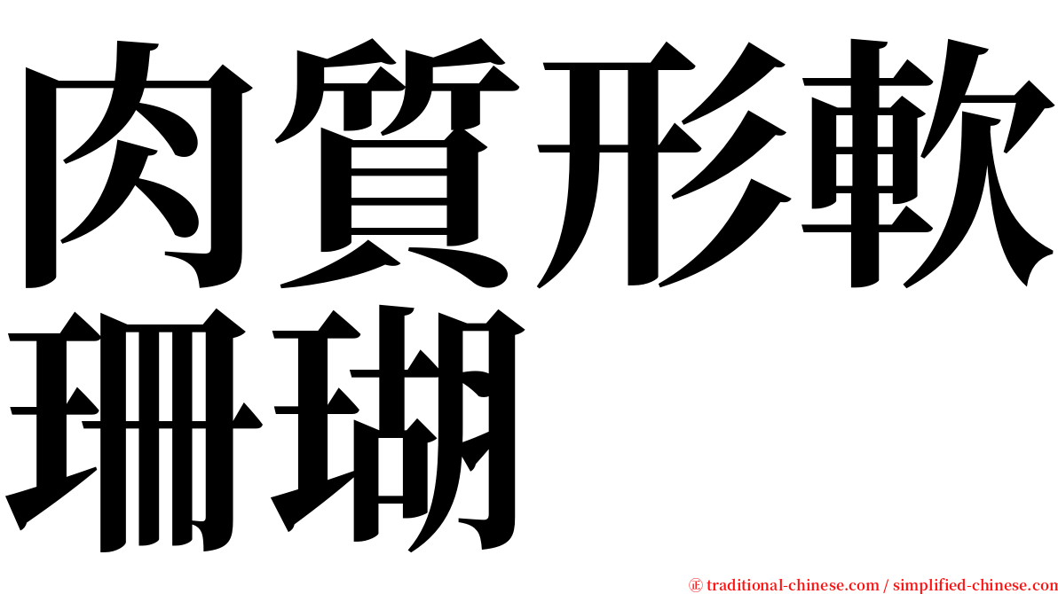 肉質形軟珊瑚 serif font