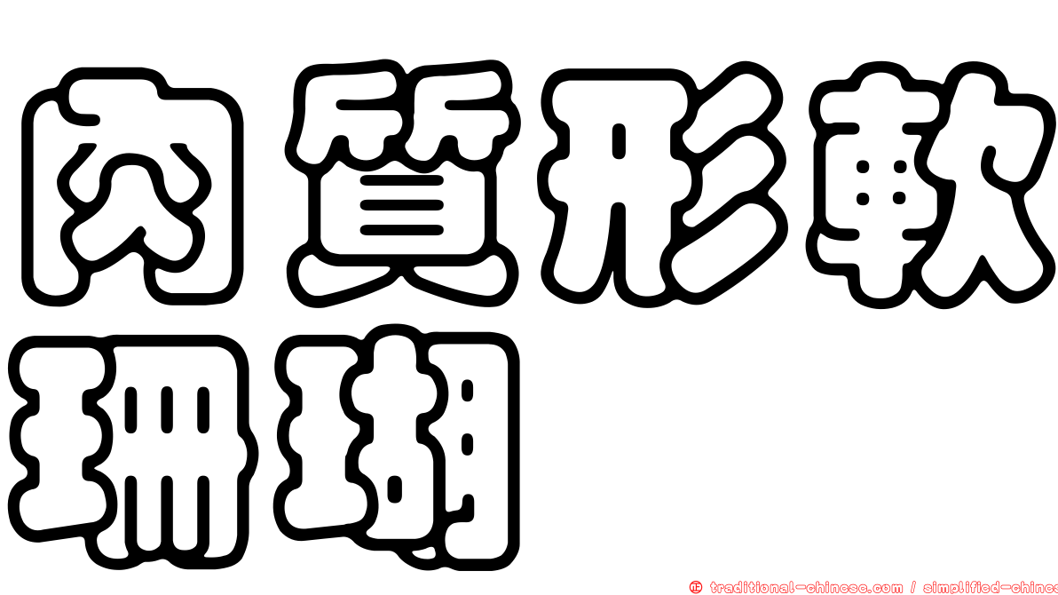 肉質形軟珊瑚