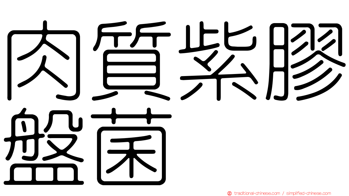 肉質紫膠盤菌