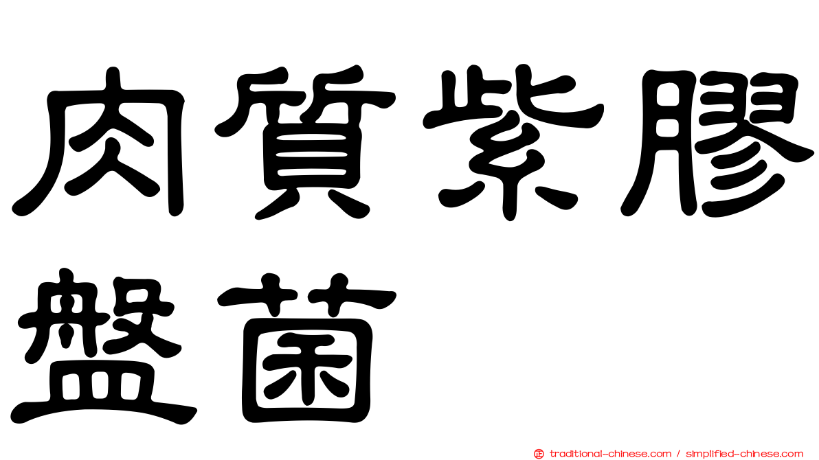 肉質紫膠盤菌