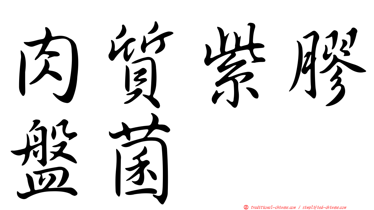 肉質紫膠盤菌
