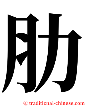 肋 serif font