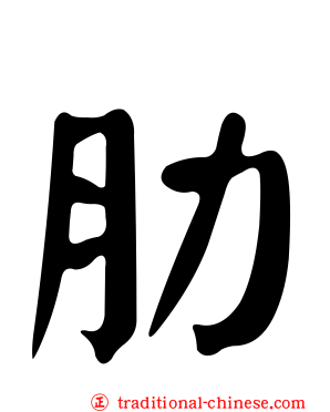 肋